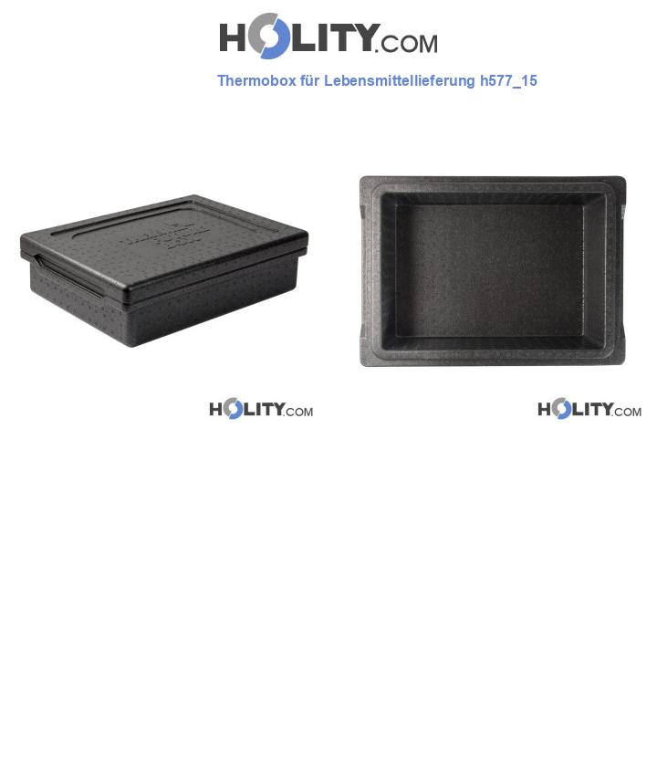 Thermobox für Lebensmittellieferung h577_15